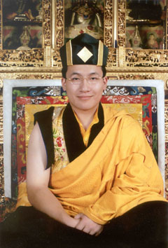 第十七世<em>大宝法王</em>嘉华<em>噶玛巴</em>
