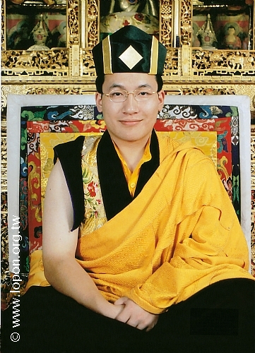 第十七世大宝法王嘉华噶玛巴听列泰耶多杰尊者 生平简介