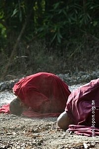 無視路程艱苦，朝往聖地。