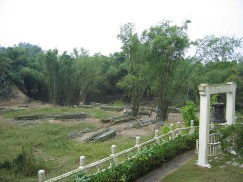 舍利塔前，原是一大片竹林。楊府布施後，伐竹整地。（2006年）