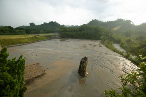 竹林淡遠、地基填高後， 巨石也沒入芳泥，終成絕響。（2008年）